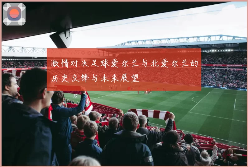 激情对决足球爱尔兰与北爱尔兰的历史交锋与未来展望
